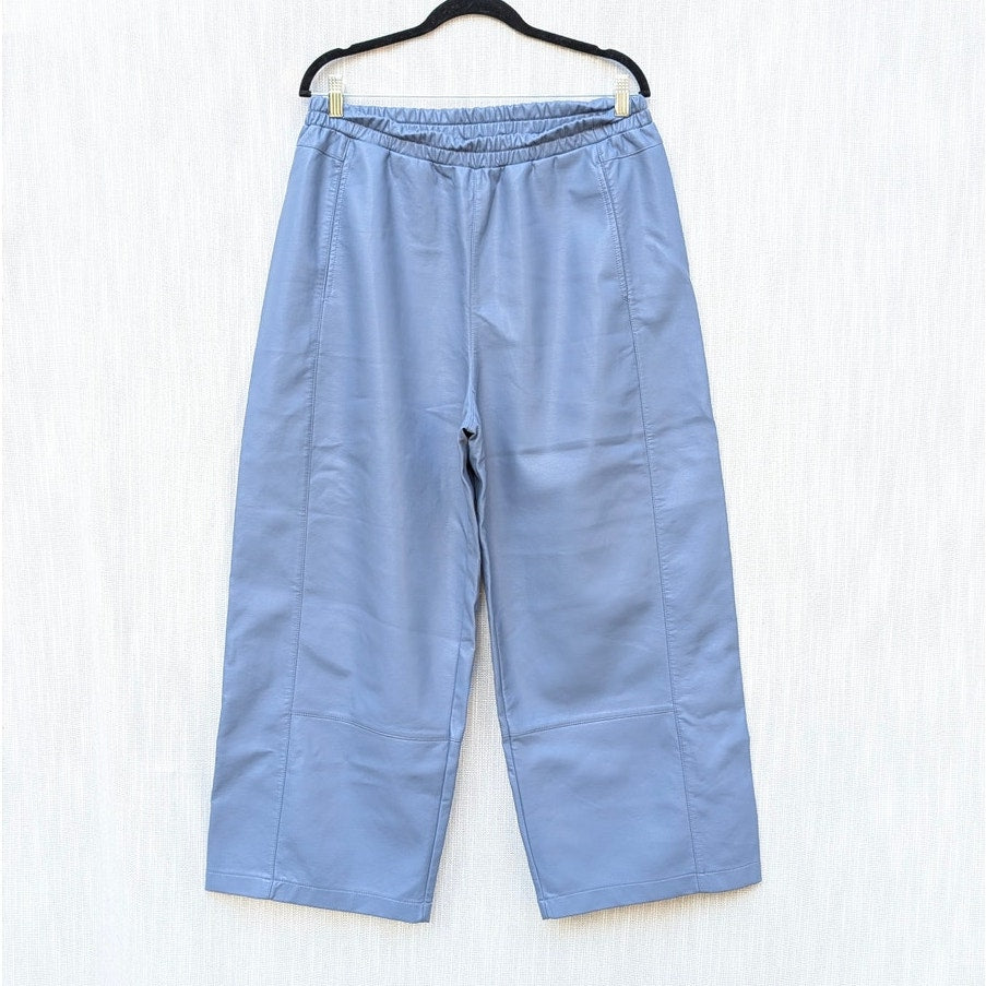 Pilcro The Izzie Relaxed Pull-On Barrel Pants Womens L Faux Leather Edition