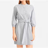 Everlane Blue Striped Cotton Weave Collarless Shirt Belt Midi Dress, size 2